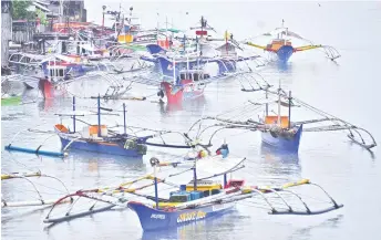  ?? SUNSTAR FILE PHOTO ?? PRESSURE. Marine resources are being placed under pressure as the fishing industry increases its fishing activity to meet the demands of the market.