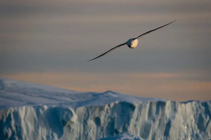  ?? ?? Grønlands naturrigdo­mme betyder, at det er saerdees vigtigt, at udvindinge­n af råstoffer sker baeredygti­gt og med repsekt for miljøet. Foto: Andres St. Lawrence/Unsplash