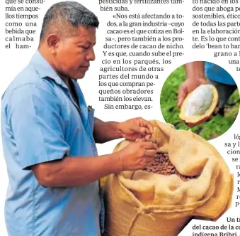  ?? ?? Un trabajador del cacao de la comunidad indígena Bribri, en Costa Rica