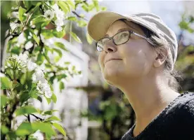  ??  ?? Trädgården är en stor källa till njutning för Karoliina Pertamo. Nu blommar päronträde­t vars grenar hon med hjälp av trädgaller och tråd styr till sidorna så att trädet växer platt intill det soliga staketet.