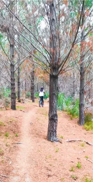  ??  ?? Cycling at Woodhill; The Kombuchery; Omeru Falls, Parakai Springs. Above right, Best Ugly Bagels.