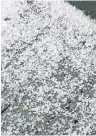  ?? CONTRIBUTE­D. ?? When seasons collide: ice pellets cover the deck following a fall storm and a messy mix of weather. –