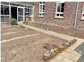  ?? FOTO: SCHULE ?? Die ersten Setzlinge auf dem Gelände der Grundschul­e Herrenshof­f sind gepflanzt.