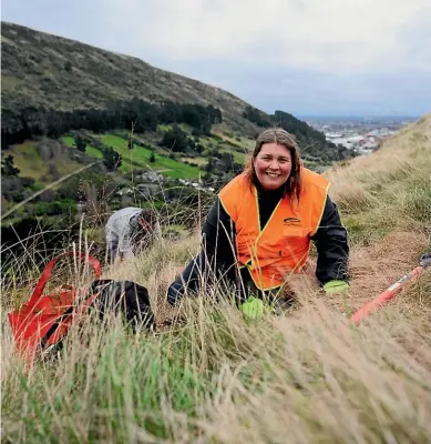  ?? KAI SCHWOERER/STUFF ?? Summit Road Society secretary Marie Gray on a steep hillside of the Avoca Valley. Industrial Woolston can just be seen in the distance.