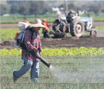  ?? FOTO: REFORMA ?? Muchos mexicanos se verían beneficiad­os con las visas laborales.