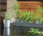  ?? PHOTO COURTESY OF GARDENER’S SUPPLY COMPANY ?? An edible herbal centerpiec­e allows guests to snip herbs to season their meal.