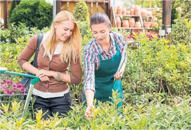  ?? DREAMSTIME ?? Don’t automatica­lly reach for the perfect flowering plant, warn Mark and Ben Cullen. Plants in full bloom will die sooner.