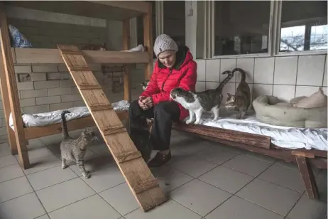  ?? ?? Serpinska visits some of the many cats living at the Gostomel Animal Shelter in Gostomel, Ukraine.