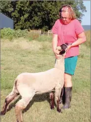  ?? PHOTOS BY LYNN KUTTER ENTERPRISE-LEADER ?? Corrine Rodgers, a 10th-grader at Farmington High, teaches her sheep, named Daisy, how to “brace” for the judges. She will show her animal at the Washington County Fair later this month. Corrine doesn’t have space to keep her sheep at home and uses the...