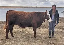  ?? Photo submitted ?? UNSUNG HERO: Lomond 4-H club member Eva Ketchmark donated a steer to the Lethbridge Soup Kitchen.