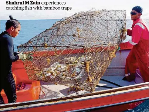 ?? PICTURES BY SHAHRUL M ZAIN ?? A bubu is hauled up onto the boat to reveal its catch.
