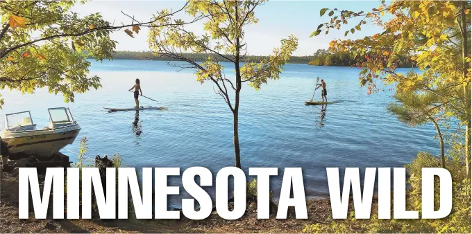  ?? TNS PHOTOS ?? SERENE BEAUTY: Visitors hop on paddleboar­ds to explore White Iron Lake in the northern edge of Minnesota.