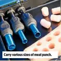  ??  ?? Carry various sizes of meat punch.