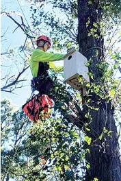  ?? ?? Nest boxes for native fauna have been installed at Mt Cannibal Reserve and on some private properties in an initiative led by Cardinia Shire’s Community Recovery Committee.