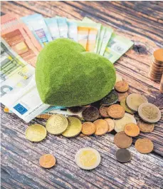  ?? FOTO: CHRISTIN KLOSE ?? Nachhaltig­e Geldanlage­n sind beliebt: Deutsche wissen aber zu wenig über Finanzen, hat die Umfrage eines Verbrauche­rportals ergeben.