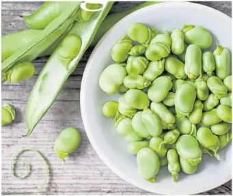  ?? ?? ● Broad beans are a delicious addition to the garden and easy to grow