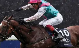  ?? PA ?? Well fancied: Enable is odds-on to win the Arc