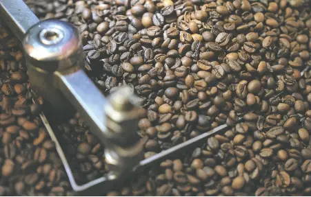  ?? DIMAS ARDIAN / BLOOMBERG FILES ?? Arabica beans — the variety favoured for specialty coffee brews — jumped almost 70 per cent this year.