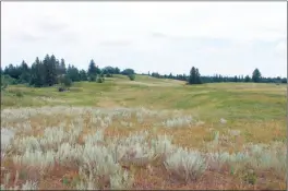  ?? The Canadian Press ?? Grasslands are shown in a Nature Conservanc­y of Canada handout photo. The Nature Conservanc­y of Canada has announced an ambitious plan to protect the Prairie grasslands, considered one of the most endangered and least protected ecosystems.