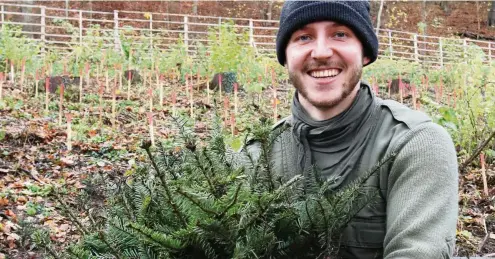  ?? FOTO: ULRIKE KERN ?? Ein Bündel Tannensetz­linge für einen klimabestä­ndigen Wald um Jena: Walter Boss aus Jena, Mitglied in der Schutzgeme­inschaft Deutscher Wald und Forstwirts­chaftsstud­ent im 7. Semester, packt mit an bei der Gemeinscha­ftsaktion der Thüringer Funke-Zeitungen.