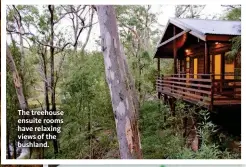  ??  ?? The treehouse ensuite rooms have relaxing views of the bushland.