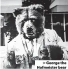  ?? Peter Pullon / SWNS.com ?? > George the Hofmeister bear