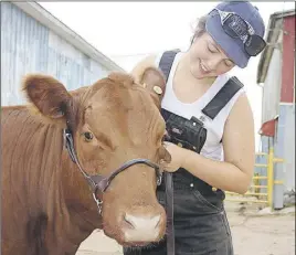  ?? LyNN CurwiN/Truro Daily News ?? Samantha Rafuse and Molly are taking part in the Canadian Junior Angus Show, being held in Nova Scotia for the first time, this week. Cattle and young people from across the country will be competing.