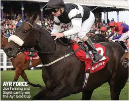  ?? ?? AYR FORCE Joe Fanning and Significan­tly win the Ayr Gold Cup