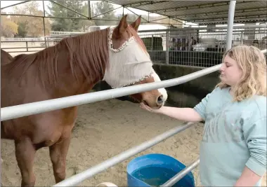  ?? Perry Smith/The Signal (See additional photos at signalscv.com) ?? Hailey Hartigan feeds one of the horses at the new SRD~Straighten­ing Reins ranch. The facility recently moved from Saugus to its new home, just east of the intersecti­on of Sand Canyon Road and Lost Canyon Road in Sand Canyon.