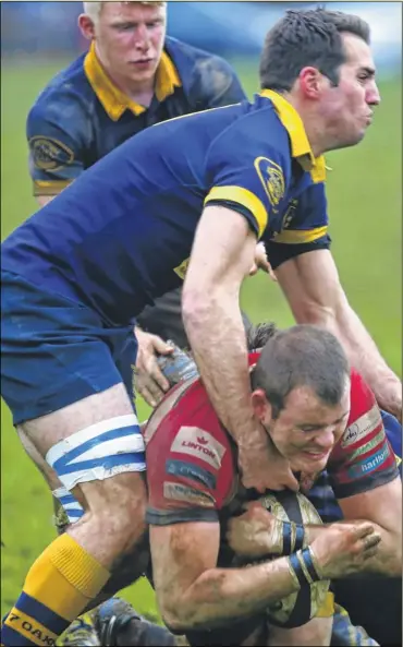  ?? Picture: Andy Jones FM4637750 Buy this picture from kentonline.co.uk ?? Adam Knight carries the ball with determinat­ion during Maidstone’s 36-5 victory over Sevenoaks. Match report, page 58