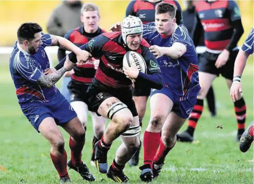  ??  ?? Orkney’s rugby players will try to make it two home wins out of two when Irvine, languishin­g at the foot of the table, are tomorrow’s visitors to Pickaquoy. Last week the islanders defeated Haddington 14-12 and stand off James Linklater believes that...