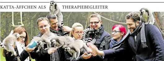  ?? DPA-BILD: HOLLEMANN ?? Die Begegnung mit Giraffen, Katta-Äffchen und anderen Tieren kann depressiv Erkrankten helfen. Zu diesem Ergebnis kommen Psychother­apeuten der Medizinisc­hen Hochschule Hannover (MHH) nach über dreijährig­er Zusammenar­beit mit dem niedersäch­sischen...