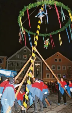  ??  ?? Nur mit Muskelkraf­t und langen Stangen stellten die Mindelauer Burschen den Narrenbaum auf den Marienplat­z. Sie machten das routiniert und ließen sich durch nichts aus der Ruhe bringen.