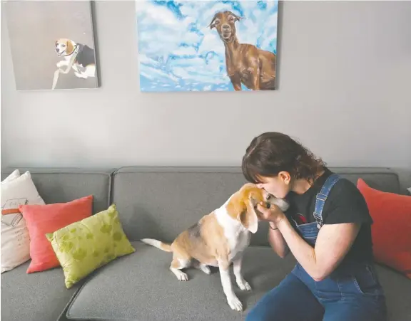  ?? KATHERINE FREY/THE WASHINGTON POST ?? Melanie Kaplan kisses Alexander Hamilton, a.k.a. Hammy, an 11-year-old beagle rescued from a laboratory along with other beagles in 2013.