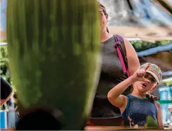  ?? Photos by Josie Norris/Staff photograph­er ?? A young zoo visitor measures the corpse flower on display at the San Antonio Zoo. The specimen was gifted to the zoo earlier this year, and it is expected to open in the next week or so.