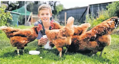  ?? RP-FOTO: STEPHAN KÖHLEN ?? Schüler Franz Haude ist leidenscha­ftlicher Hühnerzüch­ter. Sein Wissen hat der 12-Jährige sich im Alleingang angeeignet.