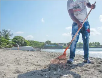  ?? MARVIN DEL CID ?? Un brigadista trabaja todas las mañanas en una playa a pesar de no haber recibido su paga.