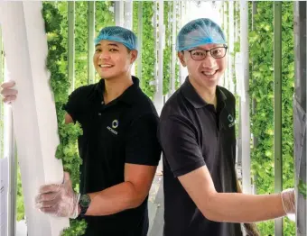  ?? ALBERT CHUA/THE EDGE SINGAPORE ?? (From left) Archisen’s farm technologi­st Dickson Ng and co-founder Vincent Wei at the company’s vertical farm in Buroh Lane