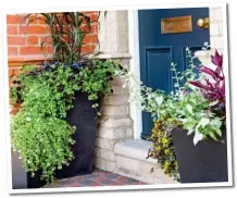  ??  ?? INSTANT RESULTS: Standing elegant containers beside your front door can be an easy and quick way to add to the kerb appeal of your property