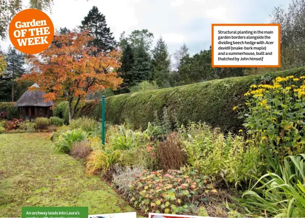  ??  ?? Structural planting in the main garden borders alongside the dividing beech hedge with Acer
davidii (snake-bark maple) and a summerhous­e, built and thatched by John himself