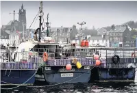  ??  ?? NET EFFECT Fishing boats tied up in Tarbert, Argyll, yesterday