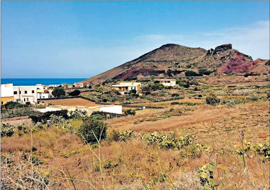  ??  ?? One of three craters of an extinct volcano is seen in the background as bushes of prickly pear crisscross the landscape of the island of Linosa, roughtly 100 miles south of Sicily.