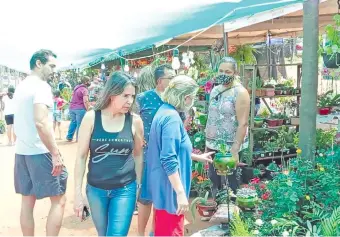  ?? ?? Mucha gente visita la muestra de flores que se desarrolla al costado de la calle Gaudioso Núñez.