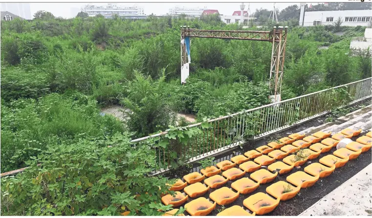  ?? — Photos: AFP ?? This photo taken on July 18, 2018 shows trees and weeds growing at the finish line of the BMX track used for the 2008 Beijing Olympic Games, in Beijing.