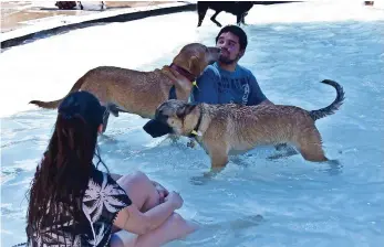  ??  ?? Hubo diVersas competenci­as como el mejor traje de baño y el salto más alto dentro de la alberca