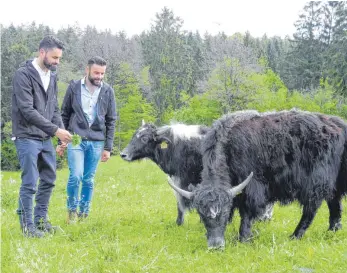  ?? FOTO: RIMKUS ?? Sie haben die Yaks nach Riegershei­m gebracht: Matthias Bold (links) mit seinem Bruder Stephan.