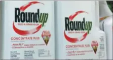  ?? REED SAXON — THE ASSOCIATED PRESS FILE ?? Containers of Roundup, a weed killer made by Monsanto, are displayed on a shelf at a hardware store in Los Angeles.