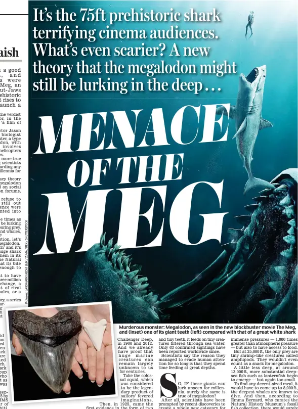  ??  ?? Murderous monster: Megalodon, as seen in the new blockbuste­r movie The Meg, and (inset) one of its giant teeth (left) compared with that of a great white shark