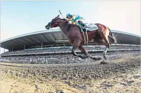  ?? CHANG W. LEE NYT ?? Ridden by Victor Espinoza, American Pharoah wins in the 147th Belmont Stakes on June 6, 2015.