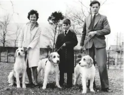  ??  ?? Right: Medyg, Miller and Marquess, first, second and third at the Plas Machynllet­h puppy
show in 1963